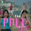 About Eko Pali Sarkha Song
